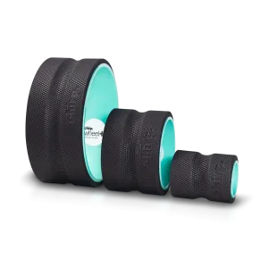 Chirp Wheel  3-Pack